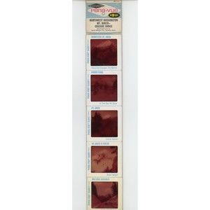Vintage GAF Pana-Vue Slides NW Washington Mount Baker Cascade Mtn Lot of 5 PV159